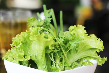 Vegetable green background.の写真素材