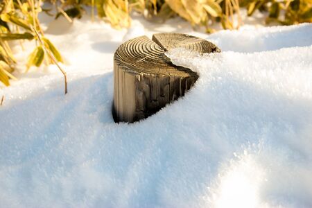 White snow season in Sapporo, Japanの写真素材