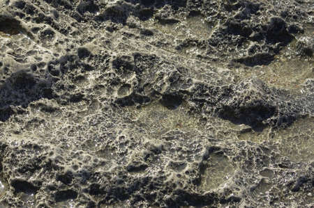texture background ( stones from  Mediterranean Sea coast )の写真素材