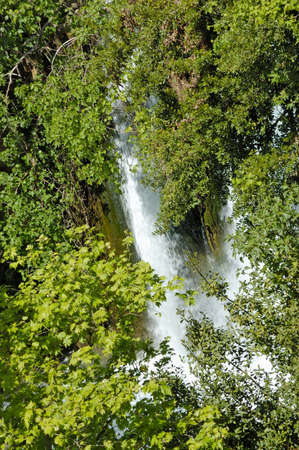 stream and waterfall Hermon, Israelの写真素材