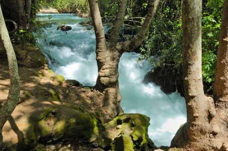 stream and waterfall Hermon, Israelの写真素材