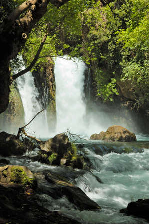 stream and waterfall Hermon, Israelの写真素材