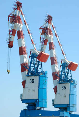 cranes on a cargo pier in a port