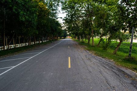 Lake Road in Thailandの写真素材