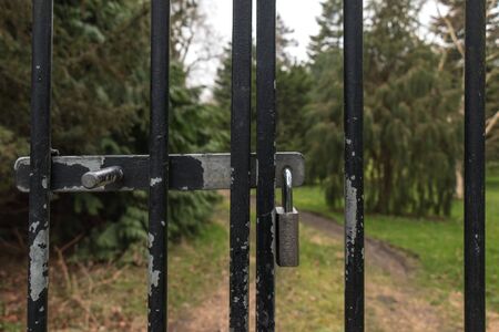 A Lock of Metal Fence Gate to Forestの写真素材