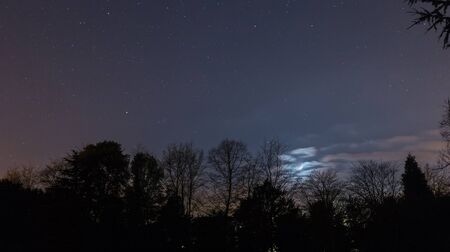 Starry Night in Woods with the Crescent Moon