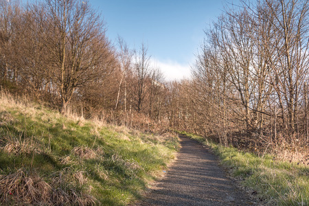 Road on a Hill with Bright Sky and Treeの写真素材