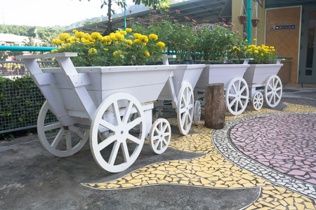 wooden cart with yellow flowersの写真素材