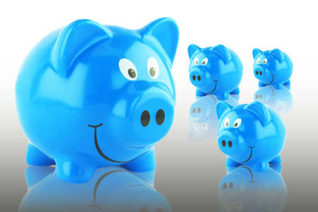 pig,animalの写真素材