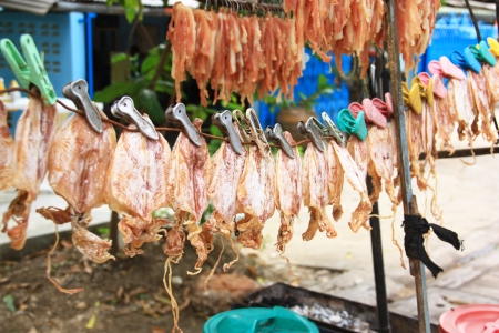 Grilled squid の写真素材