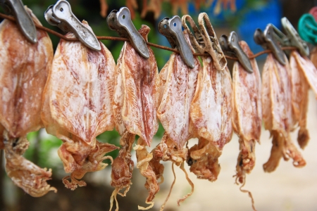 Grilled squid の写真素材