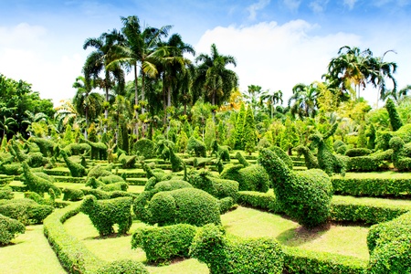 Landscaping in the garden の写真素材