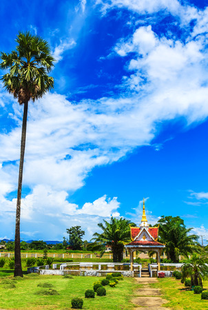 young field of winter wheat on blue sky backgroundの写真素材