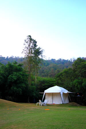 White tent in garden field tree skyの写真素材