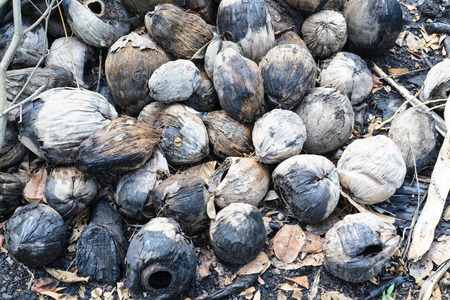 The ashes of the coconut that was on fire.