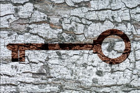 Patterned of grunge tree peelwood texture nature plant background.の写真素材