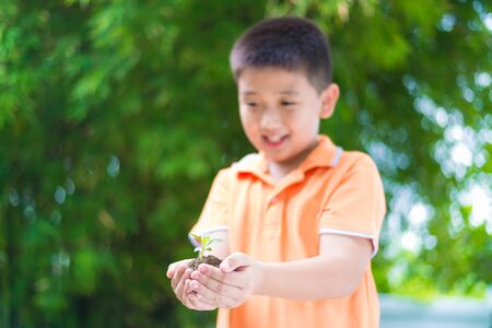 Asian child holding young seedling plant in hands, in garden, on green background, focus on hand, save the earthの写真素材