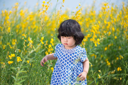 Cute Asian girl wearing white dress in yellow sunhemp flower fieldの写真素材
