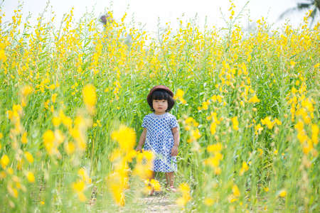 Cute Asian girl wearing white dress in yellow sunhemp flower fieldの写真素材