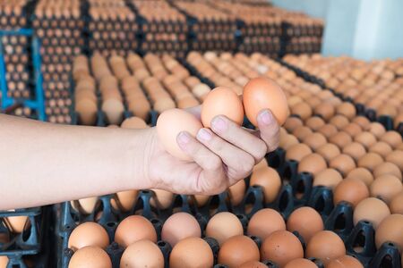 Hand holding eggs from chicken farm on lot of egg in the package background. that preserved for sale...