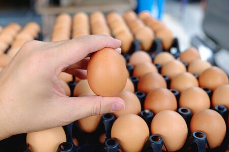 Hand holding eggs from chicken farm on lot of egg in the package background. that preserved for sale...