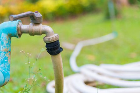 Garden hose or white rubber tube with faucet on grass field in garden.の写真素材