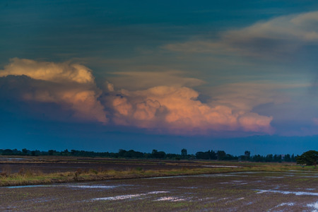 Silhouettes of the trees. Beautiful sunset sky, color and dark tone, nature background.の写真素材