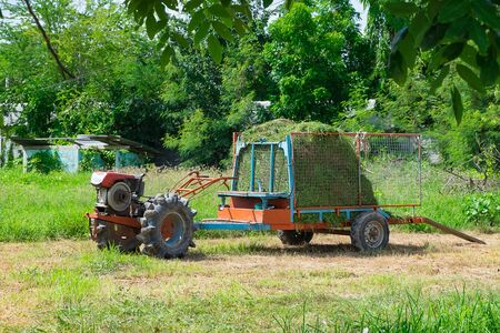 Old tractor with grass or hay on trailer, for livestock, agriculture vehicle.の写真素材