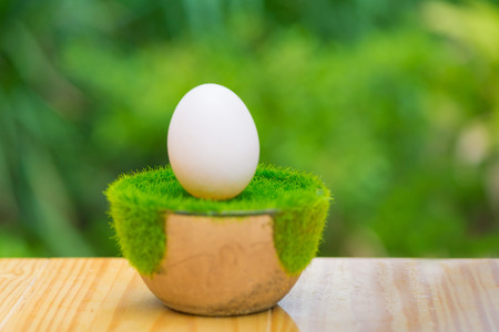 White egg from duck farm on artificial grass in pot, on wooden table with green nature background. shallow focus.の写真素材