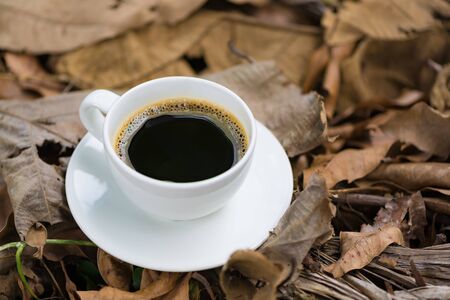 White cup of hot coffee with white plate on brown dry leaf nature background. shallow focusの写真素材