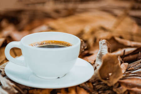 White cup of hot coffee with white plate on brown dry leaf nature background in vintage tone, shallow focusの写真素材