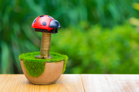 Stack of gold coin  on artificial grass in pot, on wooden table with green nature background. shallow focus. business success and banking concept.の写真素材