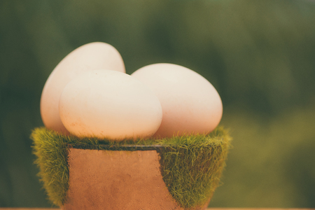 White egg from duck farm on artificial grass in pot, on wooden table with green nature background. vintage tone shallow focus.の写真素材