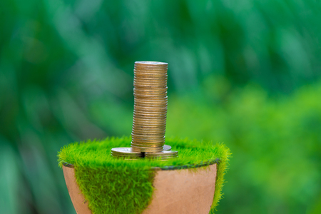 Stack of gold coin  on artificial grass in pot, with green nature background. shallow focus. business success and banking concept.の写真素材