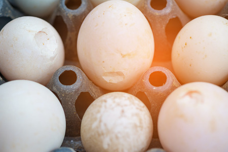Closeup of crack duck egg or broken egg in the package. selective focus. soft tone