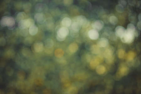 Natural green background with bokeh circles from tree and leaf. green blurry used for backdrop.の写真素材