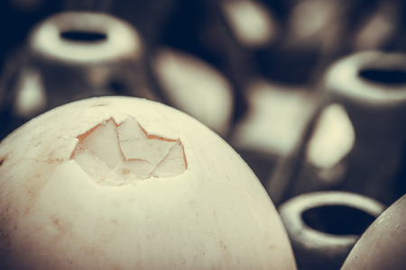 Closeup of crack duck egg or broken egg in the package. selective focus. vintage tone.