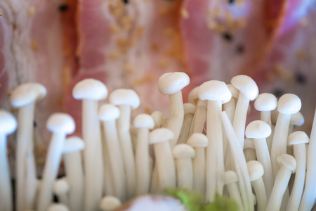 Raw kurobuta pork slices on plates, for sukoyaki and yakiniku hot pot shabu, japanese food. shallow の写真素材