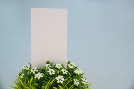 Blank business cards and little decorative tree in white vase on wooden working table with copy space for add text ID. and logo, business company concept idea.の写真素材