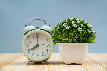 Little decorative tree and flower bouquet in white vase with vintage alarm clock on wooden table with copy space for add text.の写真素材
