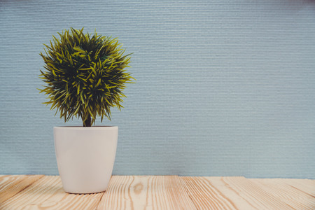 Little decorative tree and flower bouquet in white vase on wooden table with copy space. background.の写真素材