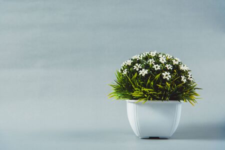 Little decorative tree and flower bouquet in white vase on grey background with copy space.の写真素材