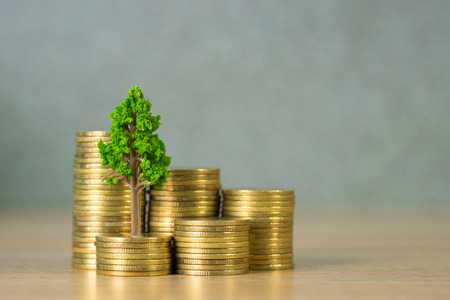 Tree growing on pile of golden coins, growth business finance investment and Corporate Social Responsibility or CSR practice and sustainable development concept idea.の写真素材