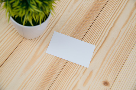 Blank business cards and little decorative tree in white vase on wooden working table with copy space for add text ID. and logo, business company concept idea.の写真素材