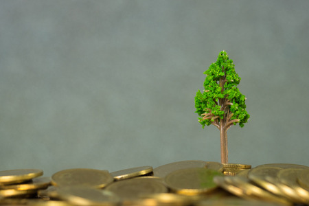 Tree growing on pile of golden coins, growth business finance investment and Corporate Social...