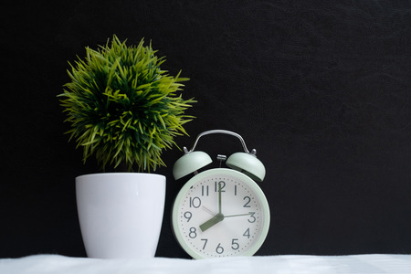 Vintage alarm clock and little decoration tree in white vase on the bed in bedroom at home, wake up...