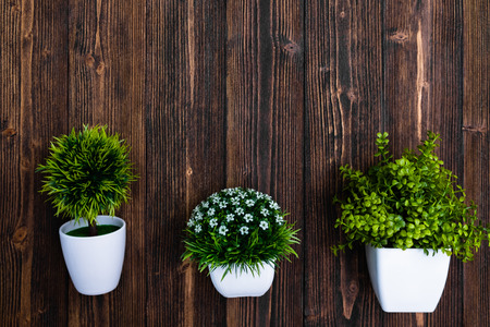 Little decorative tree and flower bouquet in white vase on wooden table with copy space. background.の写真素材