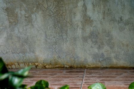 Simple blank gray concrete wall texture background with space for add text and product.の写真素材