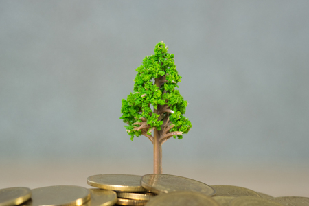 Tree growing on pile of golden coins, growth business finance investment and Corporate Social...