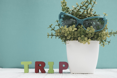 TRIP letters text and notebook paper and little decoration tree in white vase on wooden background, travel vacation concept idea.の写真素材